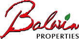 balwin-2